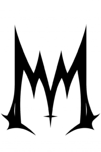 MOOM BLACK COPILOT 2 200x300